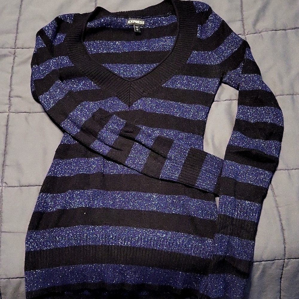 Express Stripped sweater